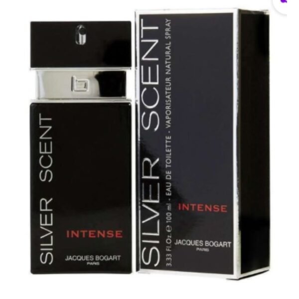 BOGART SILVER INTENSE EDT M 100ML